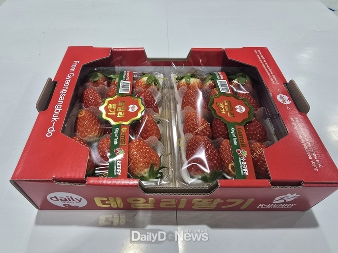 경북딸기, 두바이시장 본격적인 수출길 올라
