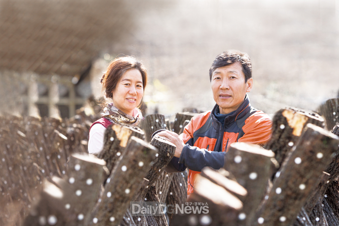 표고버섯_재배(성주_경성표고)