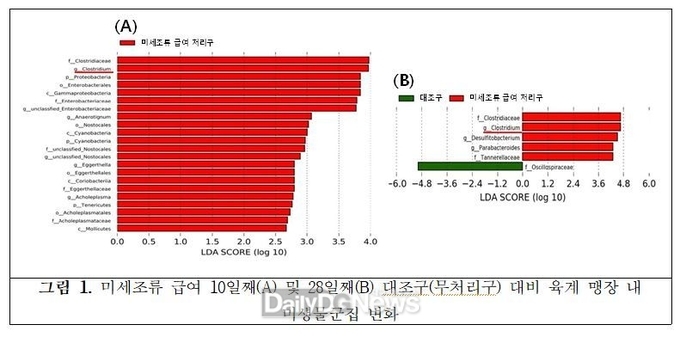 국립낙동강생물자원관 제공) 담수 미세조류에서 육계용 장 건강 주요 연구결과 그림