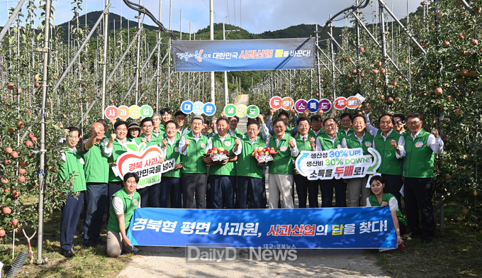경북도, 지난해 사과 생산량 전년 대비 16.6% 증가
