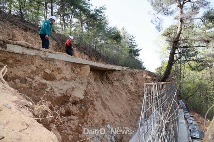 예천군, 군민 행복과 지속 가능한 발전 위한 산림 비전 실현