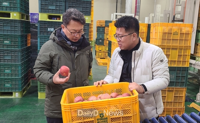 설 명절 대비 주요 과일 수급 및 유통 상황 점검