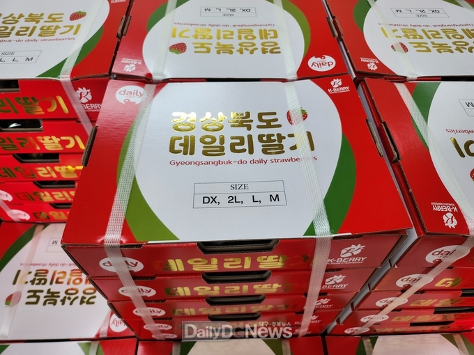 고령딸기 경북 과수통합브랜드‘daily(데일리)’로 첫 수출!