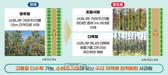 경북형 평면 사과원