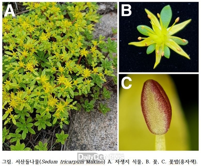 충남 서산과 태안 지역에서 서식지 확인