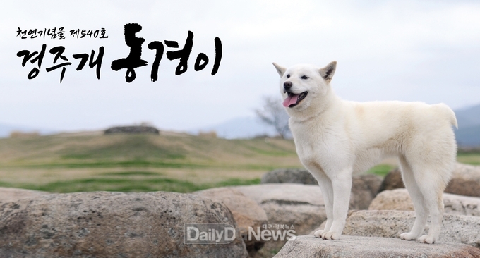 시 상징물 추가 검토