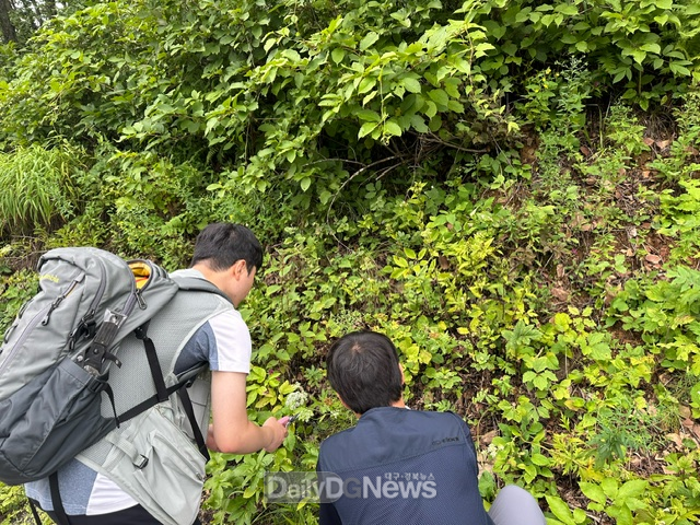 국립백두대간수목원 임직원이 백두대간 자생식물 종자수집을 위해 현장조사를 진행하고 있다.