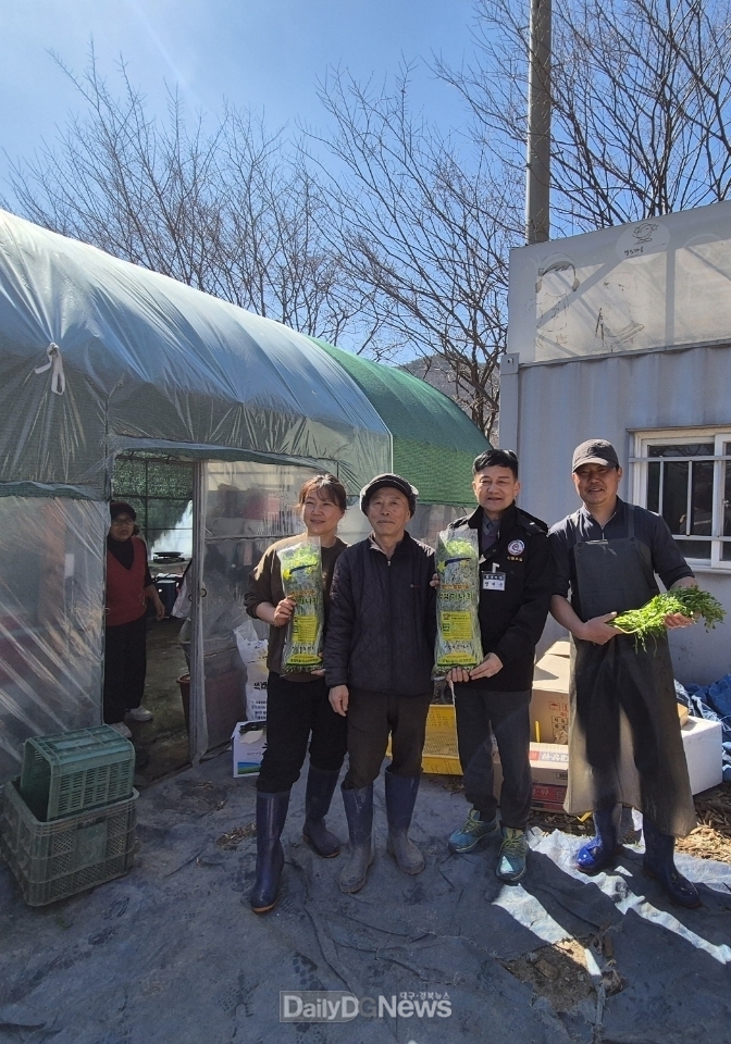 영천시 화북면, 보현산 별빛마을 정각미나리 출하 개시