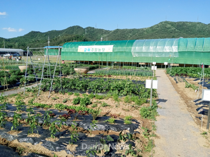 군위군, “도시민 위한 주말농장 분양”