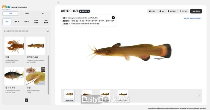 상세 화면 사진