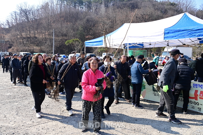 고령군, 나무 나누어주기 행사 실시
