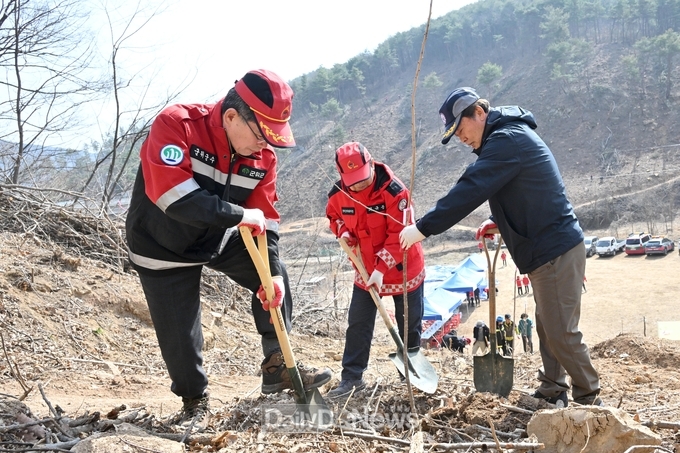 군위군, 2025년 식목일 기념 나무심기 행사 실시
