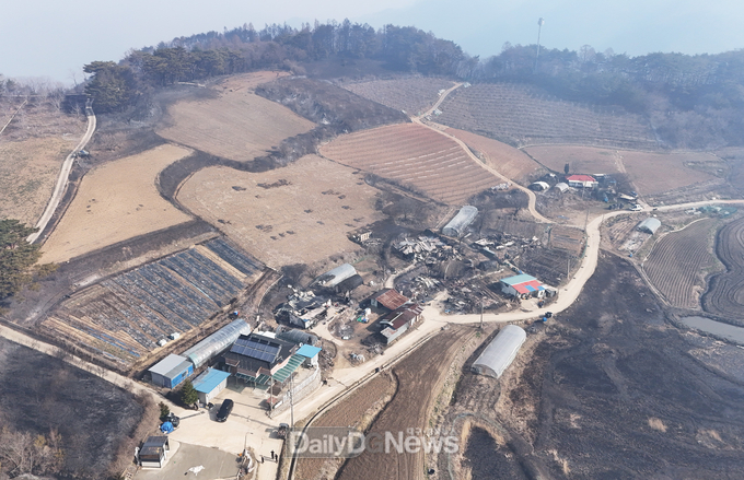 영양군, 산불 피해 농가에 신속한 지원을 위해 TF팀 구성