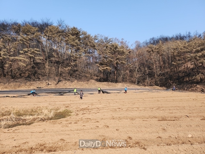 영양군, 산불 피해 농가긴급 일손돕기추진