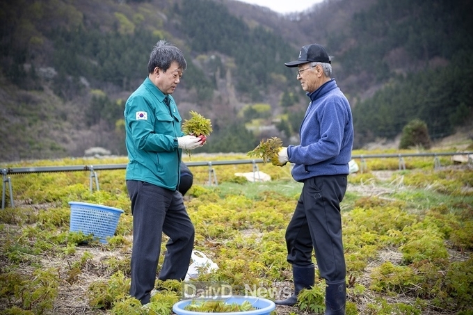 울릉군, 민관협력 통한 농촌일손돕기 팔 걷어