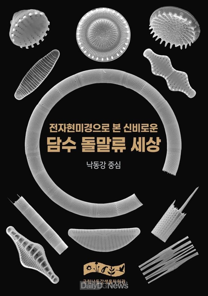 국립낙동강생물자원관, 낙동강에 사는 돌말류 62종의 이미지 담은 전자책 공개