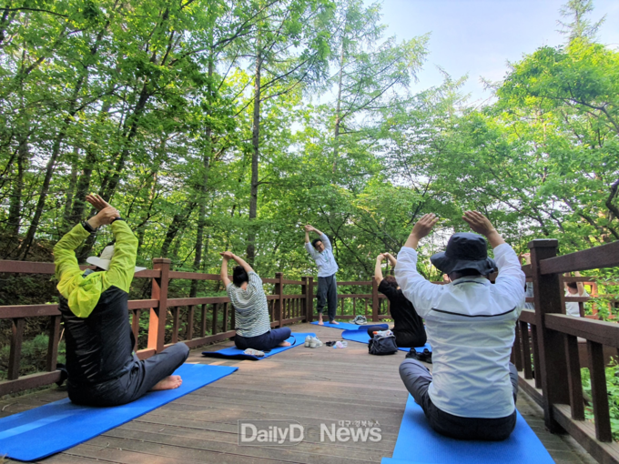 국립산림치유원 원내 데크로드에서 산림치유 프로그램을 체험하고 있다. 한국산림복지진흥원 국립산림치유원 제공
