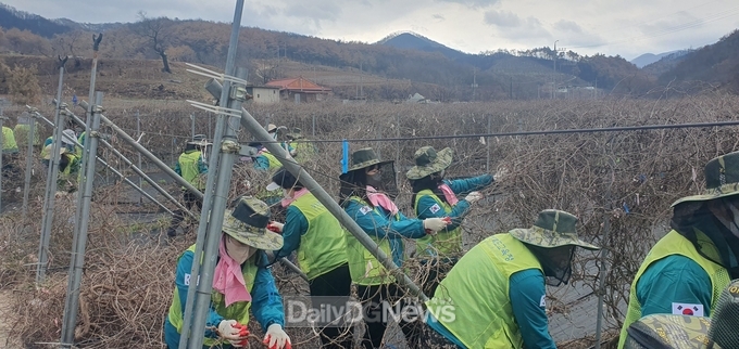 경북교육청, 영양 산불 피해 농가 일손 돕기 ‘구슬땀’