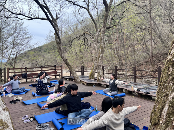 12일 국립산림치유원에서 임신 부부들이 ‘숲속 산전 요가 명상’을 하고 있다. 한국산림복지진흥원 국립산림치유원 제공