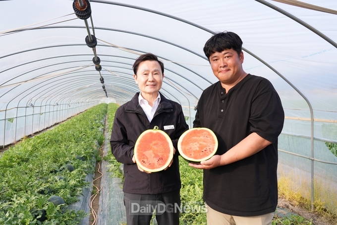 달콤 시원한 고품질 우곡 수박 첫 출하!