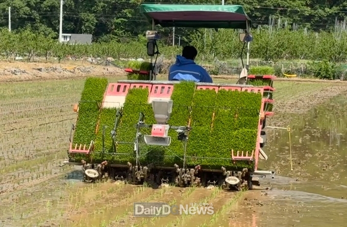 경산시, 첫 모내기 실시로 고품질 쌀 생산 본격화