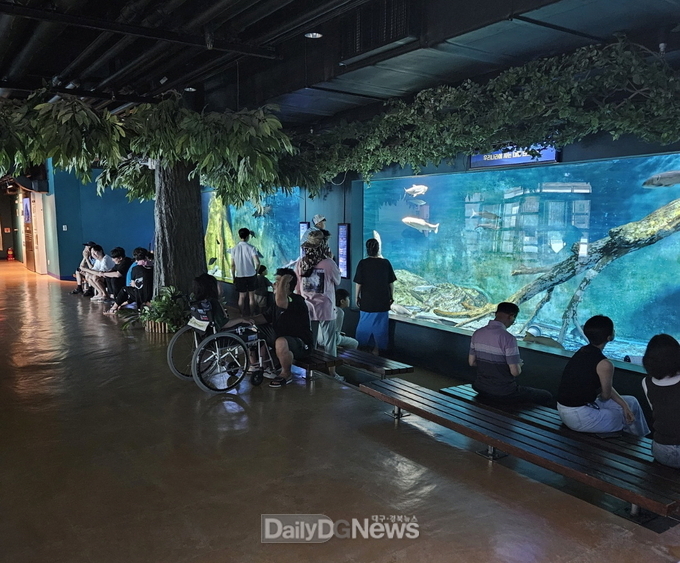 경상북도 제공) 관람 사진