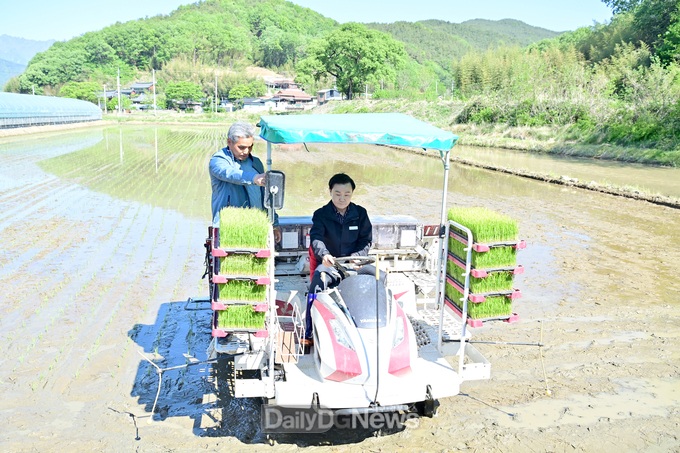고령군 쌀전업농, 풍년 기원 위한‘첫 모내기’