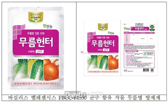 친환경 작물 무름병 방제제 출시… 농가 보급 본격화