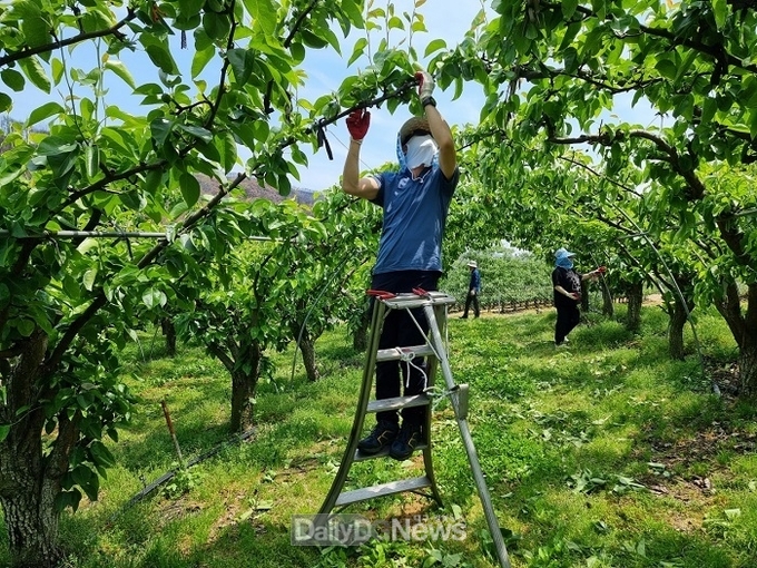 경상북도인재개발원, 영덕 산불 피해 농가 찾아 봉사활동