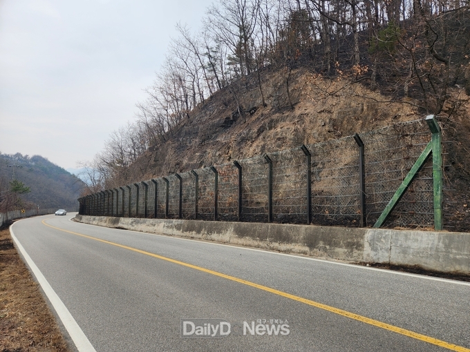 산불 피해목 지역 에너지로 전환