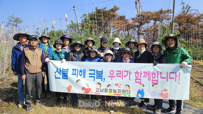 강남동 영농지원단, 길안면 찾아 영농봉사 실시