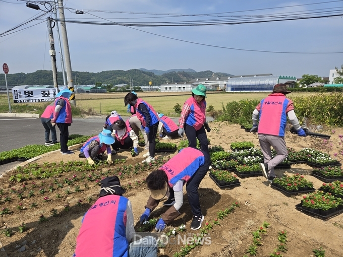 생활개선회, 아시아육상대회 앞두고 '구미 단장' 구슬땀