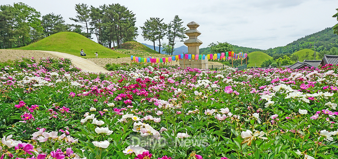 서악동 삼층석탑 작약