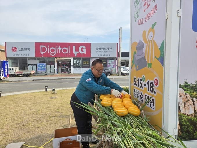 성주읍, 축제맞이 회전교차로 참외 볼거리 조성