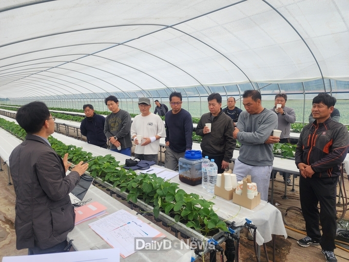 고령군 딸기고설육묘학과, 죽향딸기 개발자 이철규 연구관과 함께하는 현장 컨설팅 실시