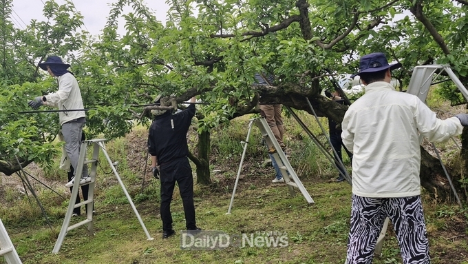 전 직원 농촌 일손 돕기에 값진 땀방울