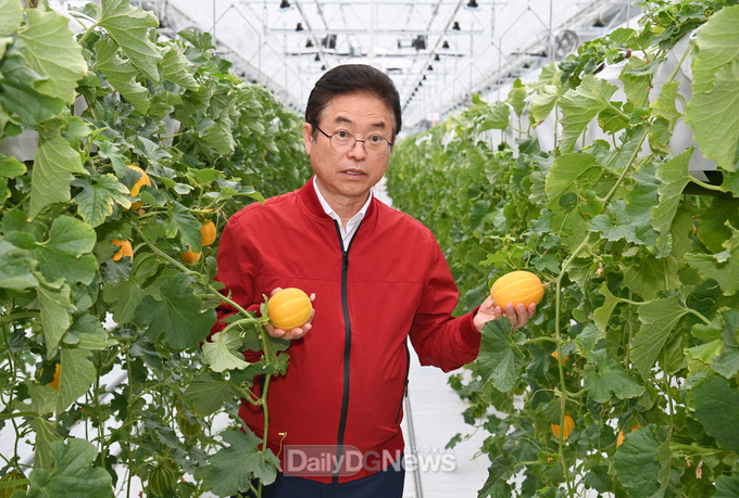 이철우 도지사, 16일 성주참외과채류연구소 방문해 참외산업 고도화 현장 점검