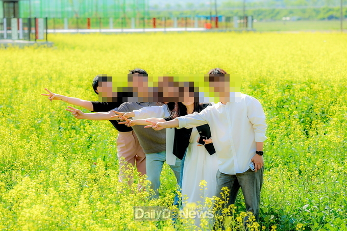 풍각면 꽃 향기 가득한 유채정원 무료개방