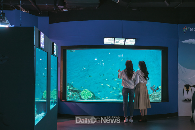 울진 어디까지 가봤니(아쿠아리움)