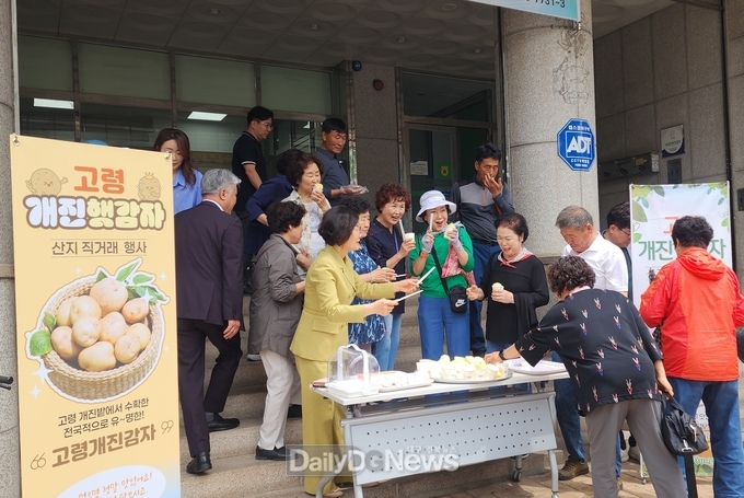 고령군, 동대구농협에서 고령 개진감자 시식행사 개최