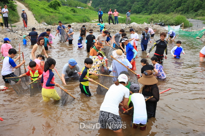 왕피천 피래미 축제