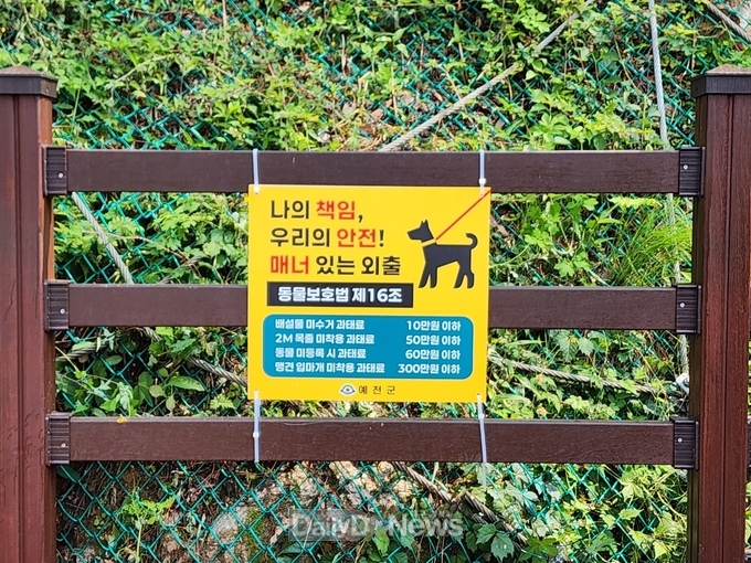 예천군, 반려동물 등록 및 안전관리 캠페인 실시