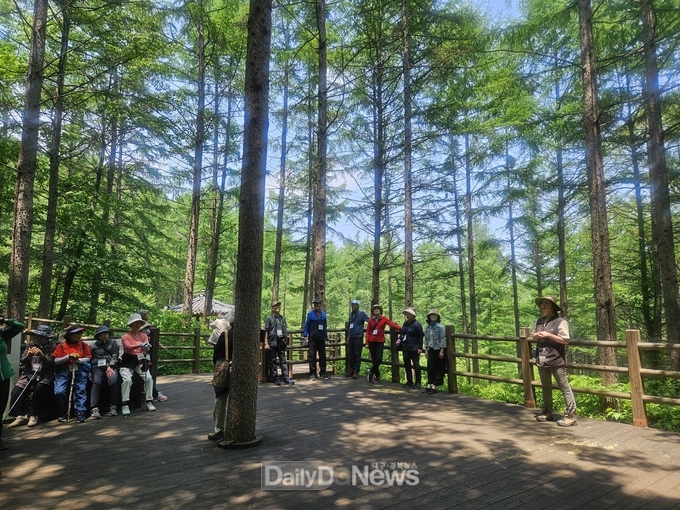 김천시, 국립김천치유의숲 연계 ‘산림치유 프로그램’ 운영