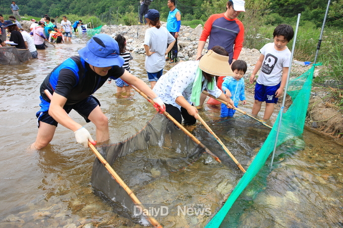 왕피천 피래미 축제