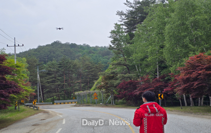 드론을 활용한 고사목 예찰 시행
