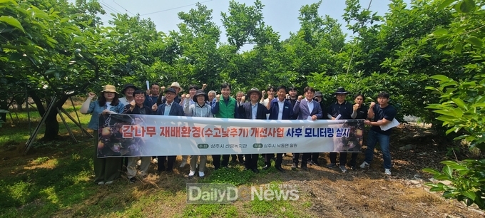 상주시, ‘감나무 수고 낮추기 사업’ 사후 모니터링 실시