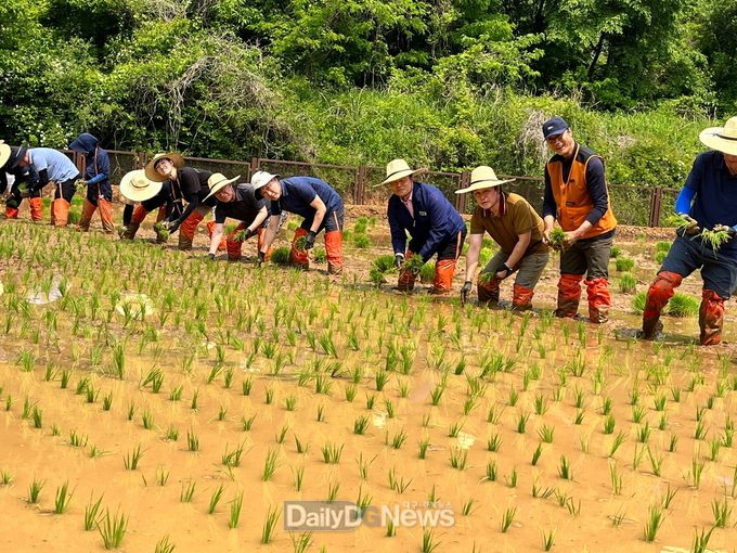 문경돌리네습지서 친환경 손모내기 행사 개최