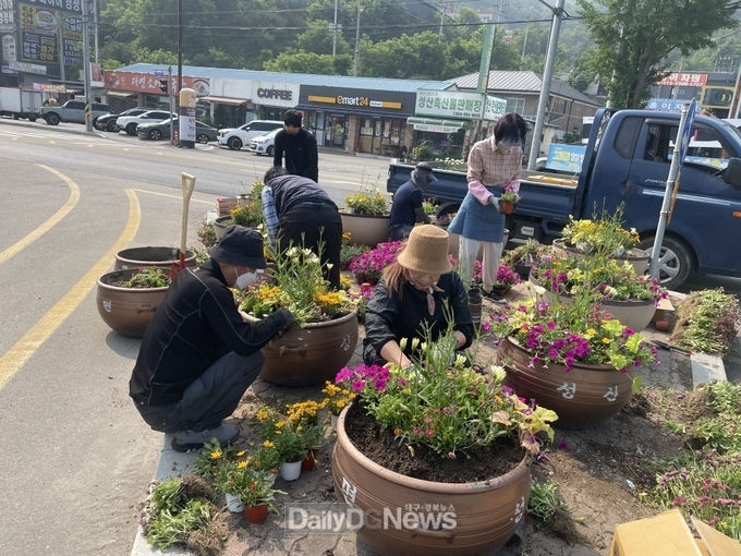 성산면 다채로운 꽃향기 선사