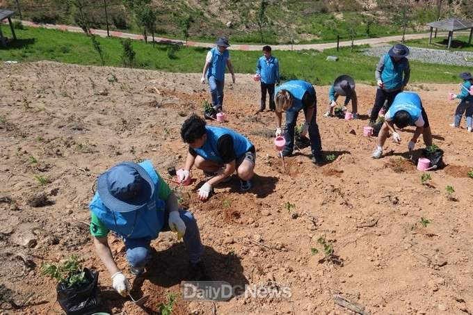 공단 노사·포항노동청, 산불피해지역 진달래심기 자원봉사 병행