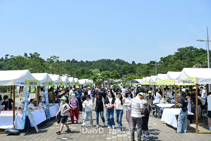 고령군, 차별화된 '2025 고령멜빙축제'
